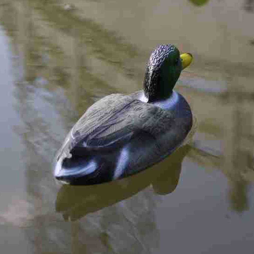 떠다니는 오리 모형 시뮬레이션 사냥용 오리 미끼 정원  - Decoy Duck Plastic 리뷰 및 가격