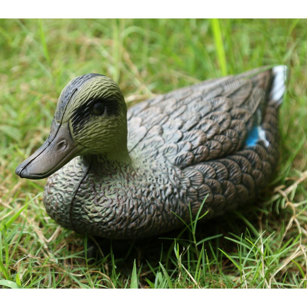 실물 크기 플라스틱 만다린 오리 모형 조류 장식품 야외 - Decoy Duck Plastic 리뷰 및 가격
