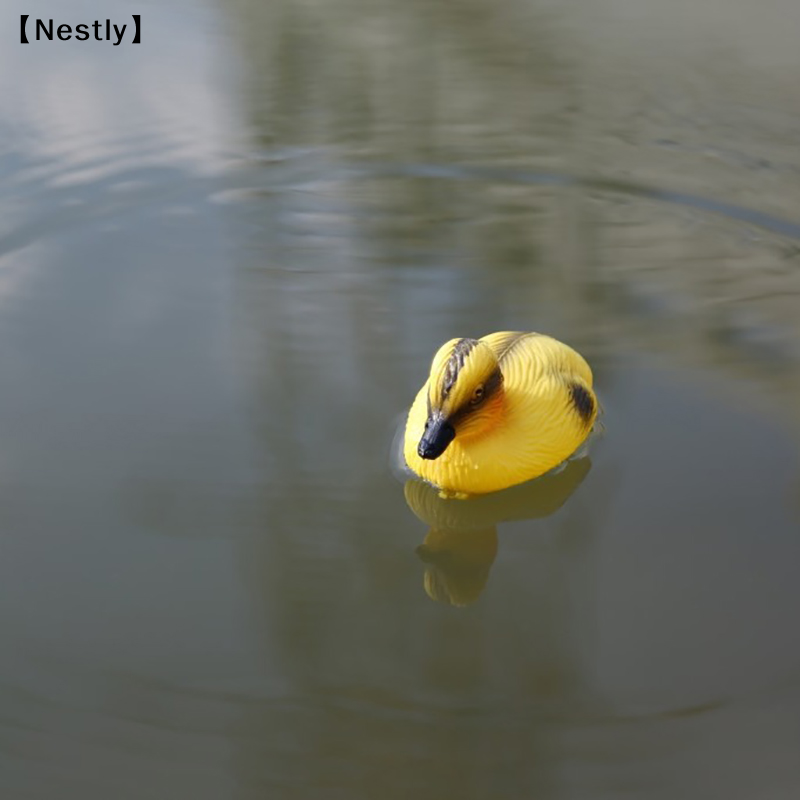 떠다니는 오리 새끼 연못 장식품 플라스틱 오리 모형 야 - Decoy Duck Plastic 리뷰 및 가격