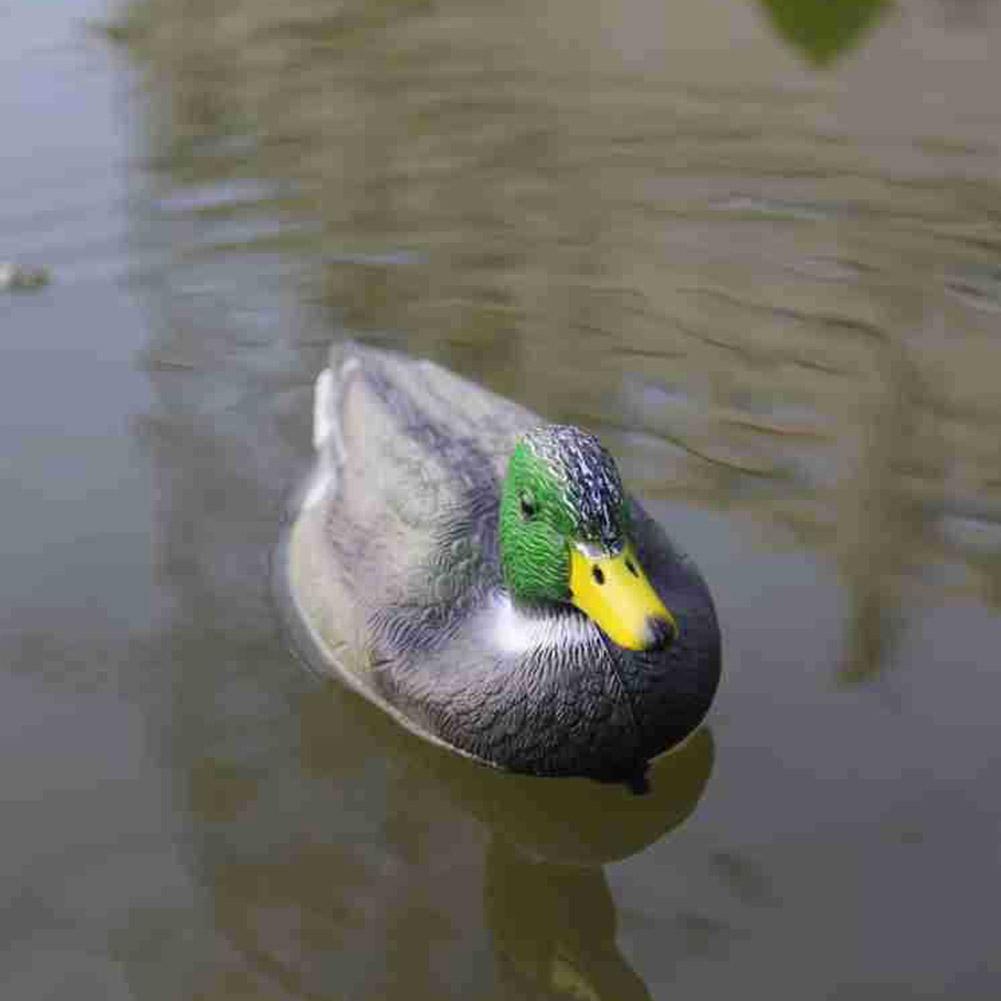 야외용 사실적인 플라스틱 오리 사냥용 미끼 정원 장식  - Decoy Duck Plastic 리뷰 및 가격