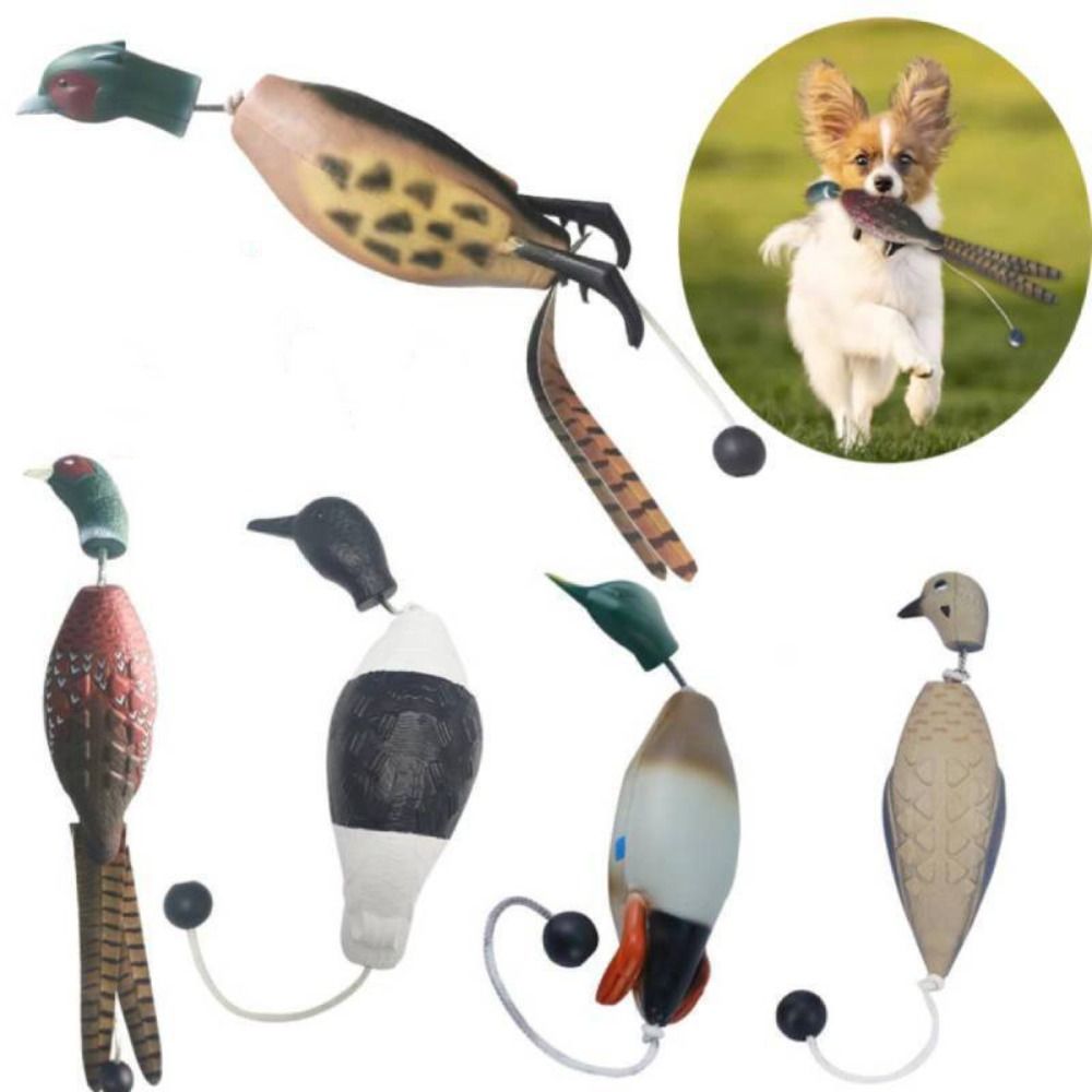 시뮬레이션 청둥오리 모형견 훈련용, 훈련견 휴식용, 애 - Decoy Duck Plastic 리뷰 및 가격