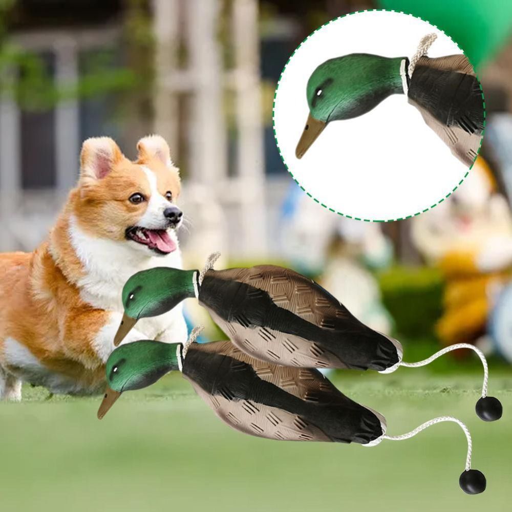 Mallard Duck Decoy 개 훈련 장난감 개  - Decoy Duck Plastic 리뷰 및 가격
