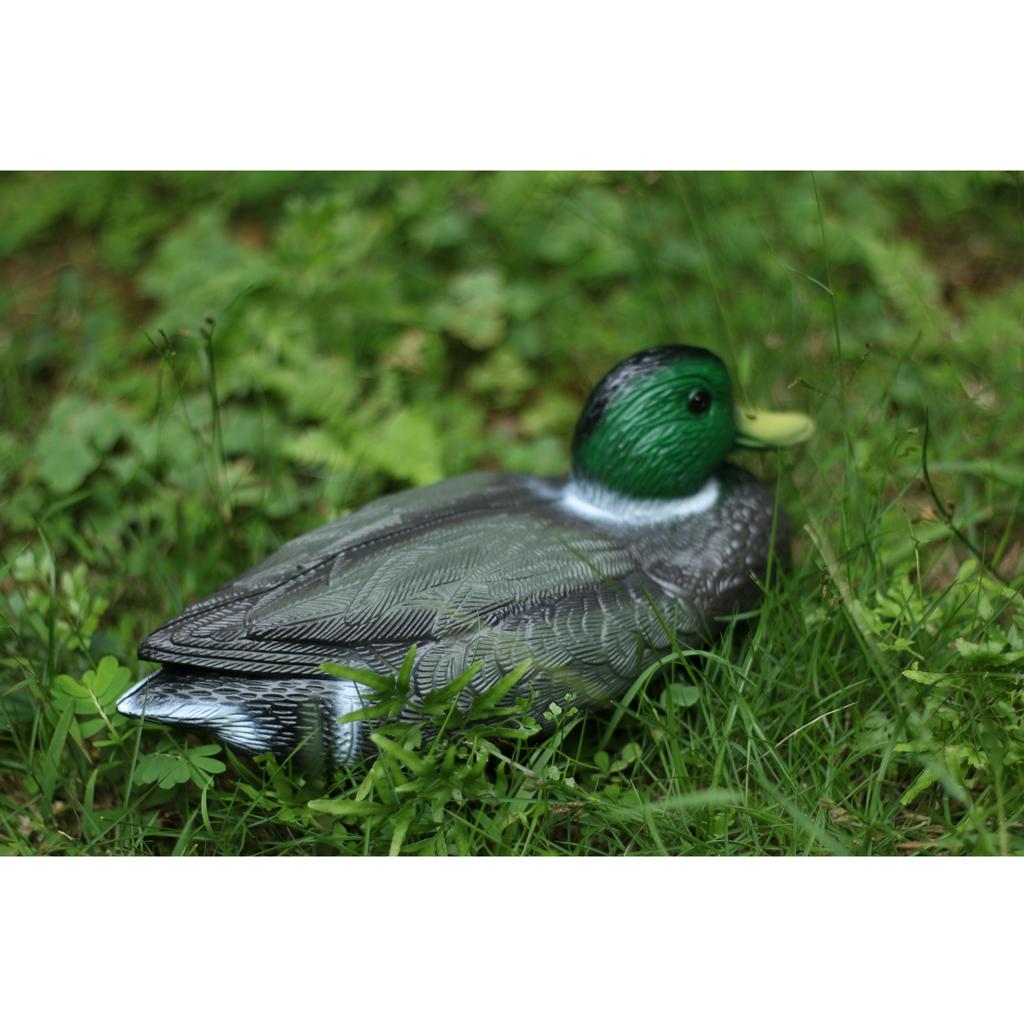 실물 같은 플라스틱 오리 모형 정원 퇴치기 야외 새 퇴 - Decoy Duck Plastic 리뷰 및 가격