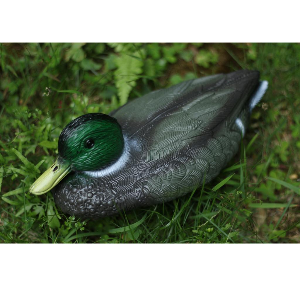 실물 같은 플라스틱 오리 모형 정원 퇴치기 야외 새 퇴 - Decoy Duck Plastic 리뷰 및 가격