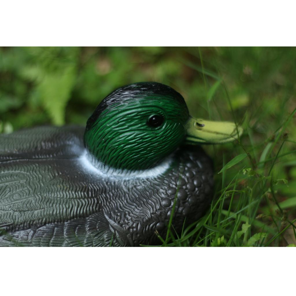 실물 같은 플라스틱 오리 모형 정원 퇴치기 야외 새 퇴 - Decoy Duck Plastic 리뷰 및 가격