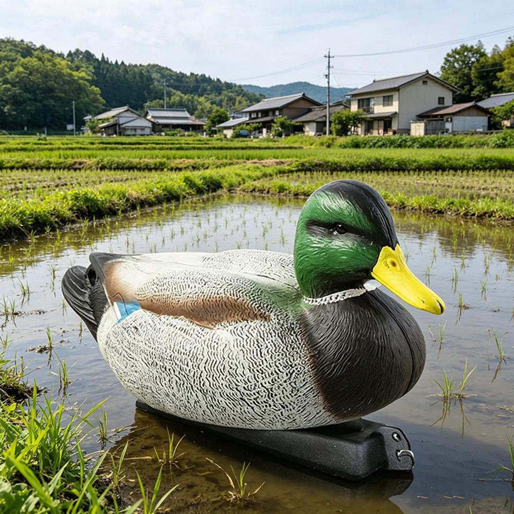 3D 리얼리스틱 플라스틱 오리 모형 미끼, 킬이 있는  - Decoy Duck Plastic 리뷰 및 가격